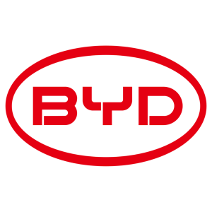 Red "BYD" text in a stylized, bold font, surrounded by a red oval outline, on a black background.